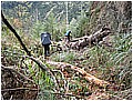 2008-1-25 am 09-55-25-230林道途中及路況.jpg